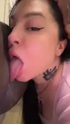 palg