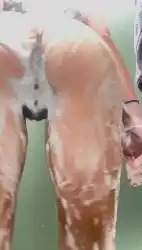 twerk