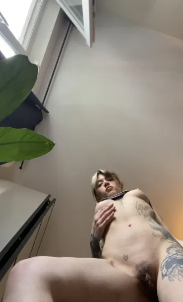 the-inkedwife