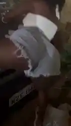 ebony-ass