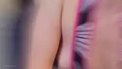 swallow